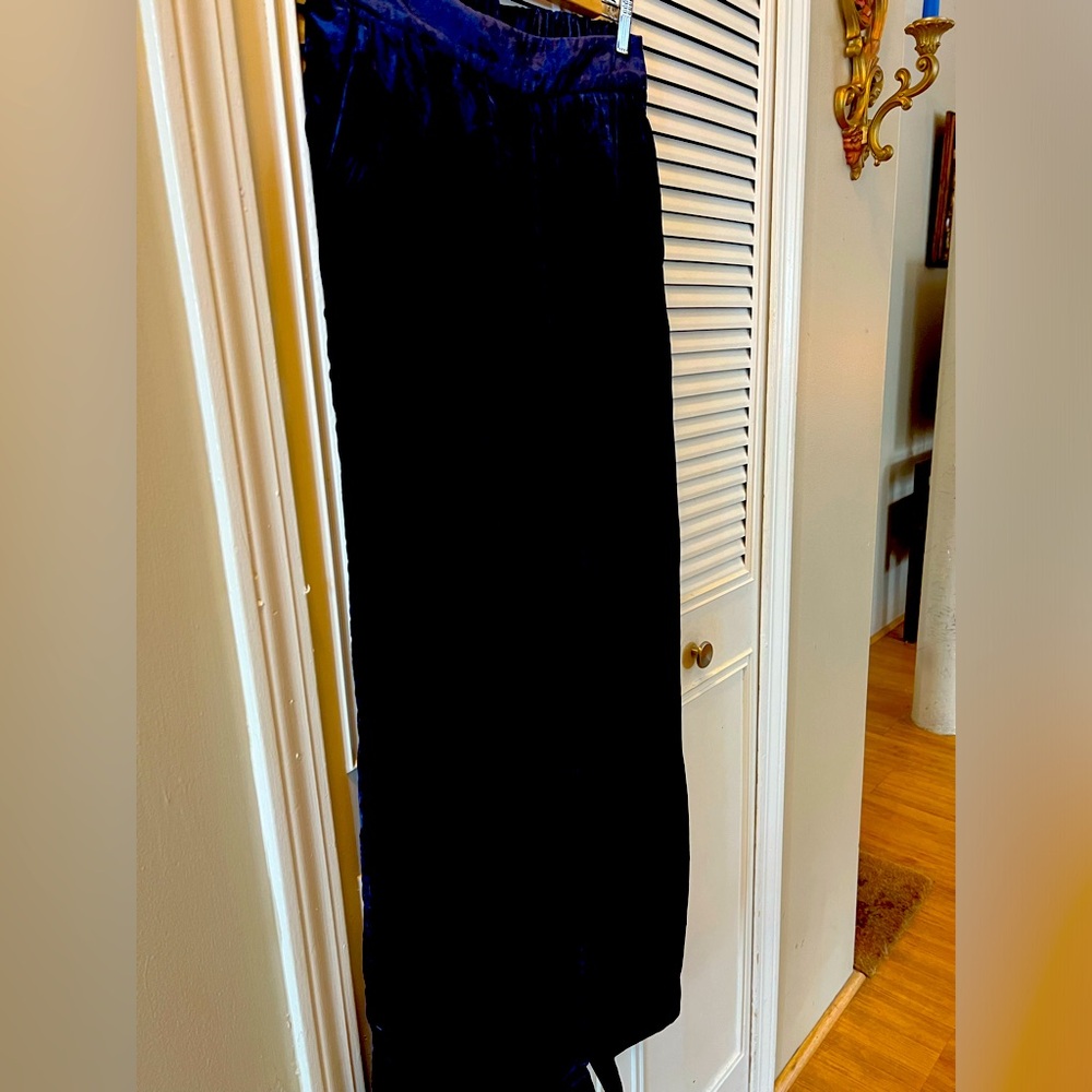 Velvet wide leg pants